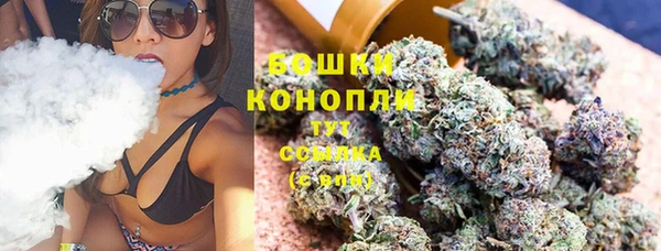 метадон Вяземский