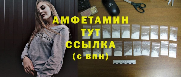 гидра Вязники