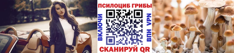 Псилоцибиновые грибы Cubensis  купить наркоту  Тейково 