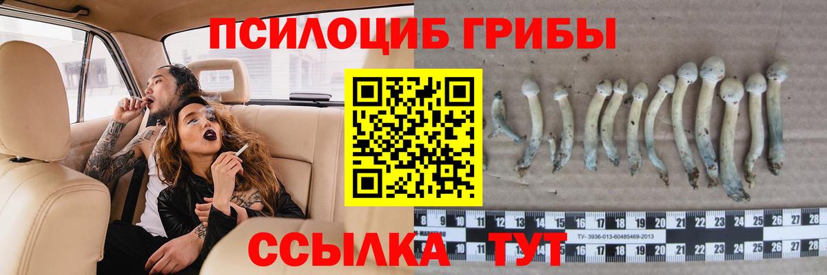 Галлюциногенные грибы прущие грибы Тейково