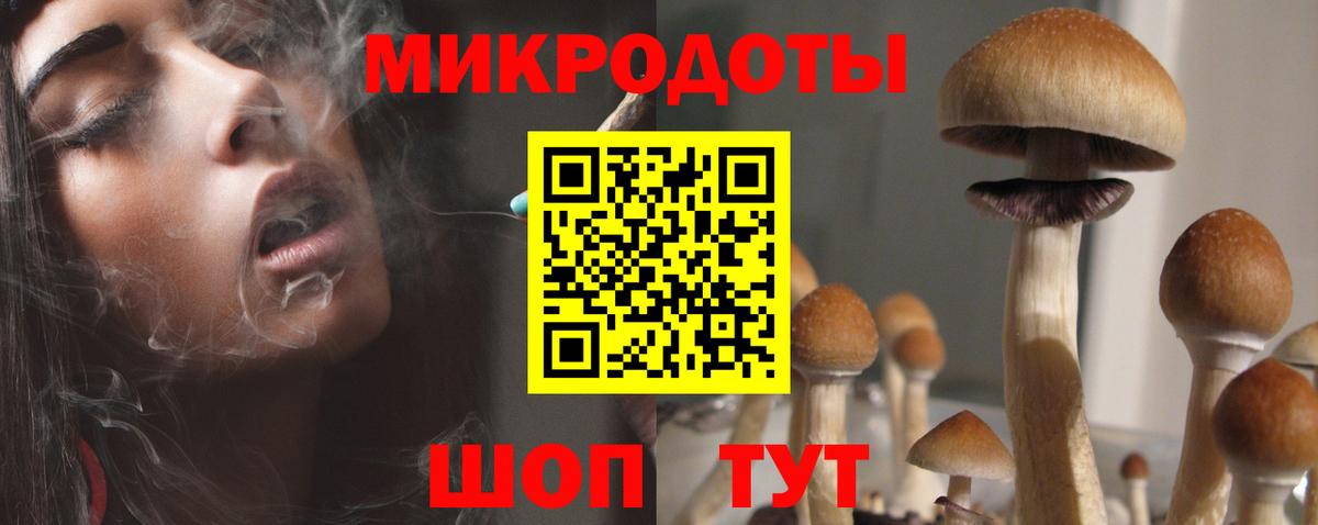 Галлюциногенные грибы Psilocybine cubensis  Псилоцибиновые грибы Cubensis  Тейково  Вход с VPN 